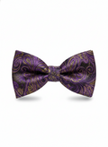 Regal Purple and Gold Paisley Pre-Tied Formal Bow Tie