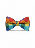Vibrant Rainbow Geometric Hexagon Pattern Pre-Tied Bow Tie