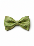 Elegant Olive Green and Gold Paisley Men's Bow Tie